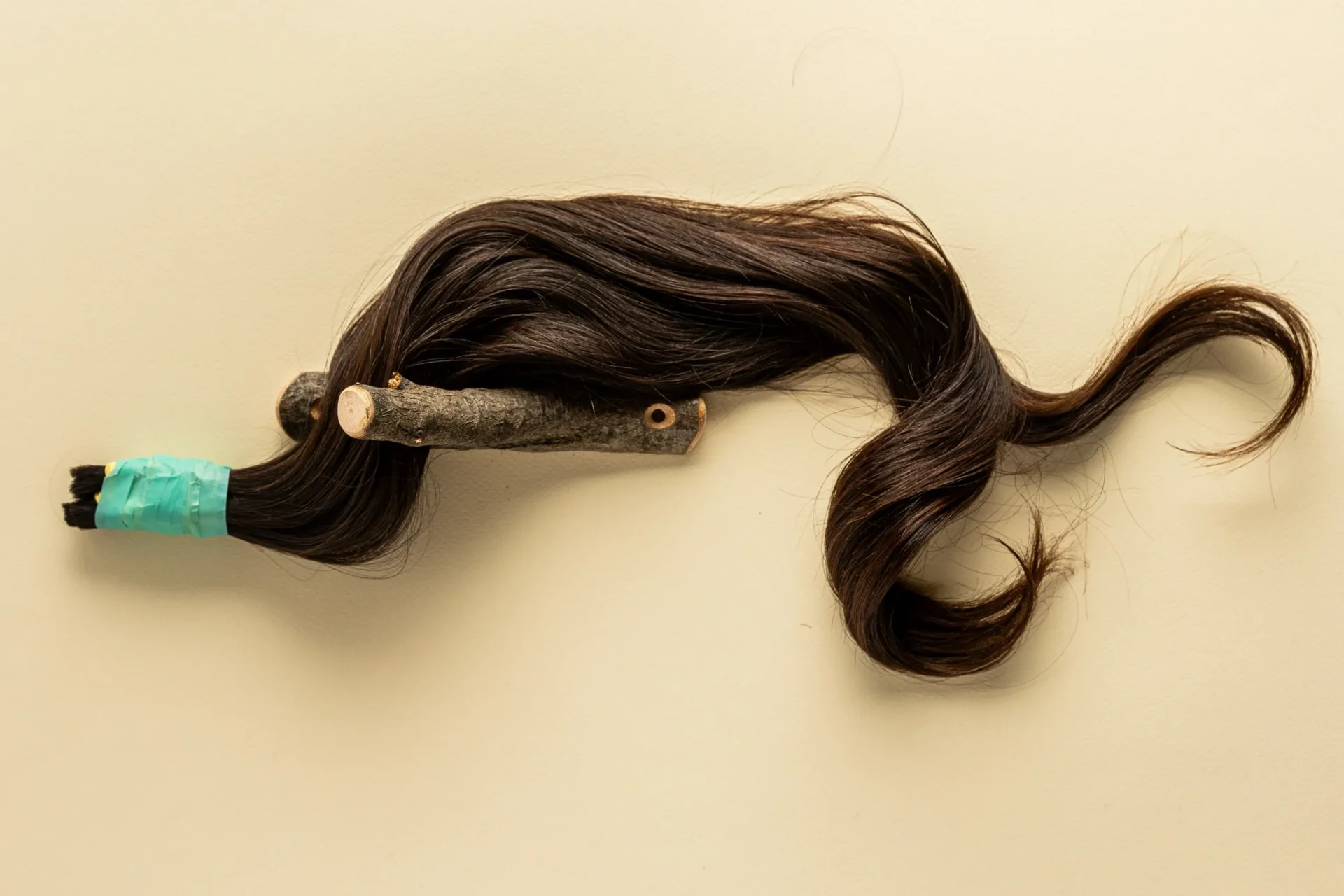 A long brown hair with some type of brush on it