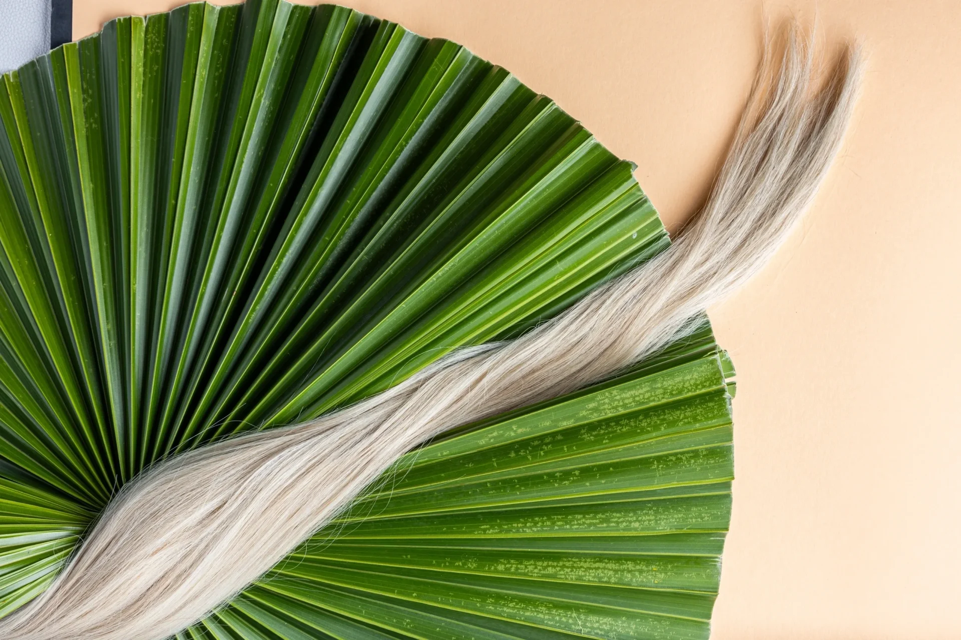 A fan with green leaves on it