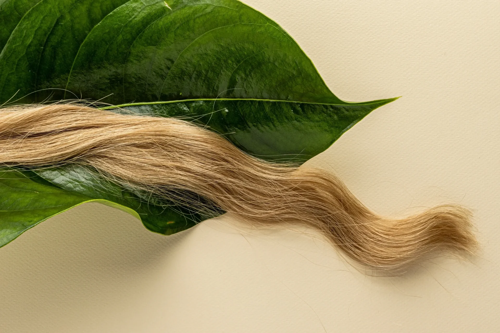 A close up of some hair and leaves